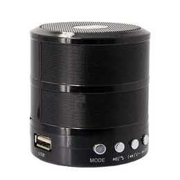 Mini Speaker WS 887